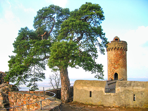 Schloss Auerbach